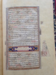 NLW MS 1208D