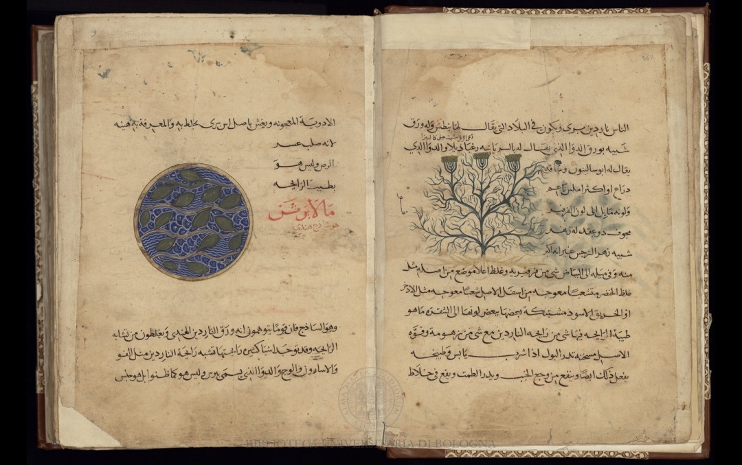 Maqalat Diusquridis al-hakim (De Materia Medica)